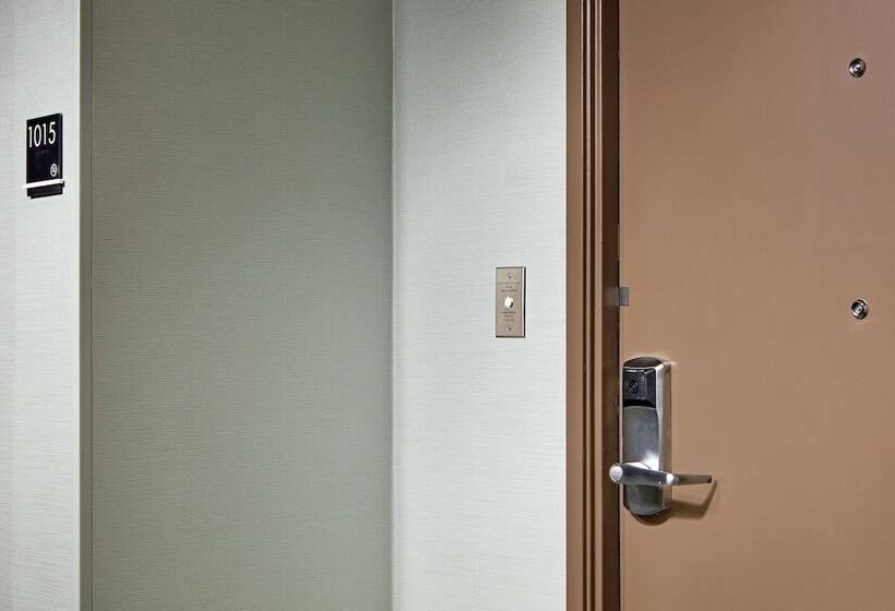 Chambre Standard Adaptée aux Personnes à Mobilité Réduite, Hilton Houston Plaza/medical Center