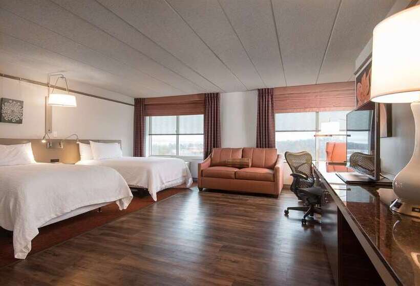 Chambre Standard, Hilton Houston Plaza/medical Center