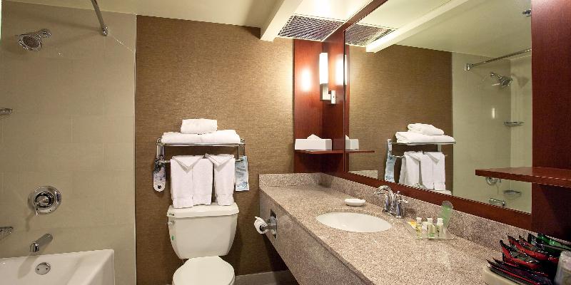 스탠다드 룸 킹사이즈 침대, Holiday Inn Los Angeles Gateway Torrance, An Ihg