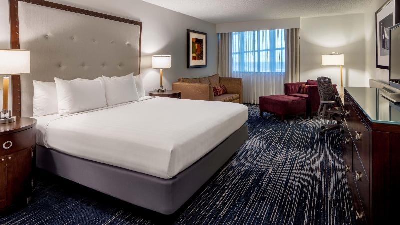 스탠다드 룸 킹사이즈 침대, Sonesta Hotel Houston Iah Airport