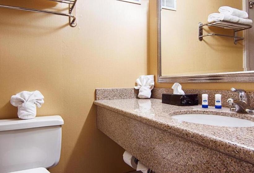 Люкс Кровать Кинг, Quality Inn & Suites East Syracuse  Carrier Circle