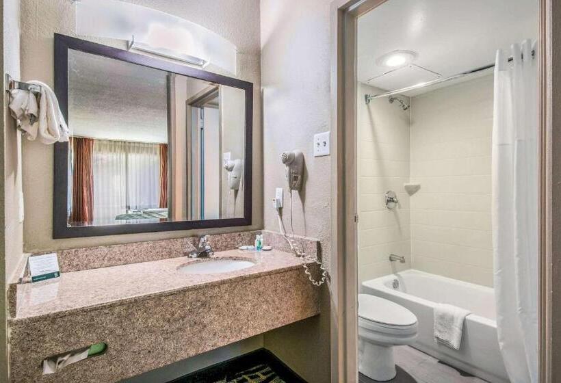 带大床的套房, Quality Inn & Suites