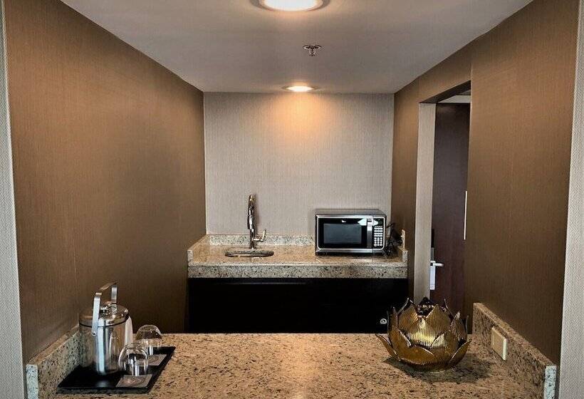 이그제큐티브 스위트, Sheraton Lisle Naperville