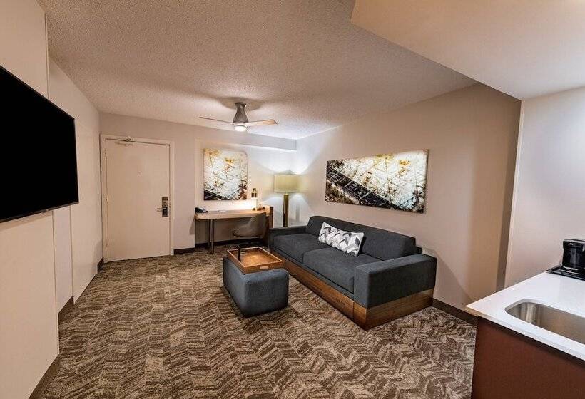 Люкс, Springhill Suites Houston Medical Center / Nrg Park