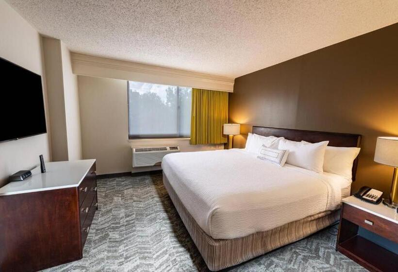 Люкс Кровать Кинг, Springhill Suites Houston Medical Center / Nrg Park