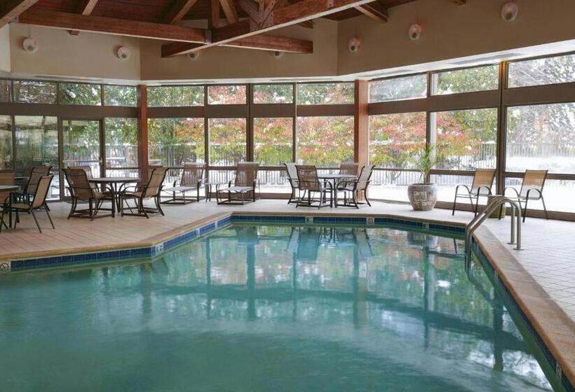 Номер Стандарт 2 Двуспальные Кровати, Detroit Marriott Livonia
