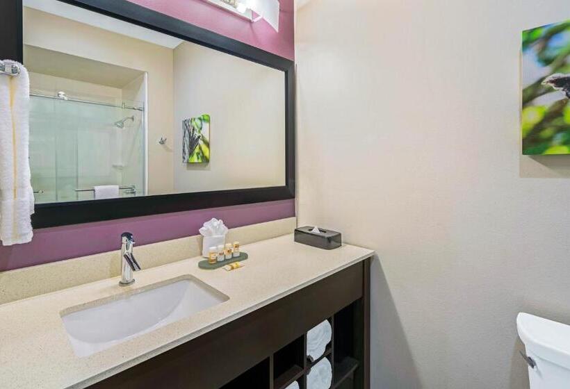 障害者適応デラックスルーム, La Quinta By Wyndham Mcallen La Plaza Mall