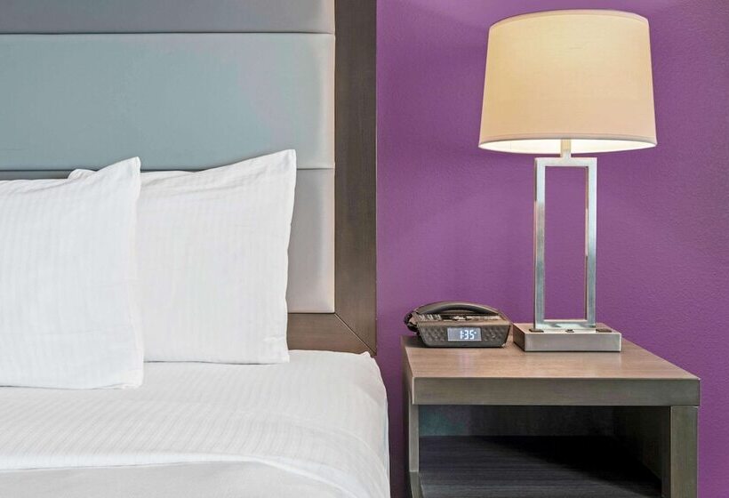 障害者適応デラックスルーム, La Quinta By Wyndham Mcallen La Plaza Mall