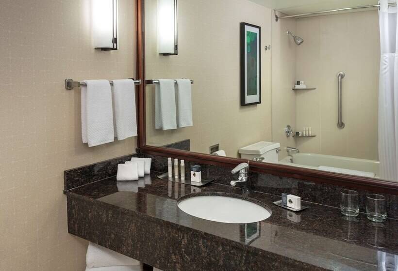 Президентский Люкс, Doubletree Suites By Hilton Htl & Conf Cntr Downers Grove