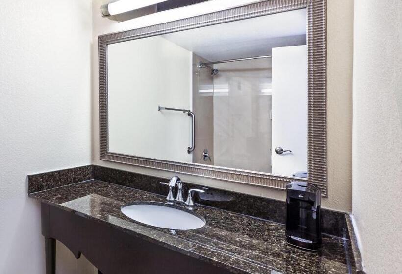 标准间, Holiday Inn Tyler   Conference Center, An Ihg