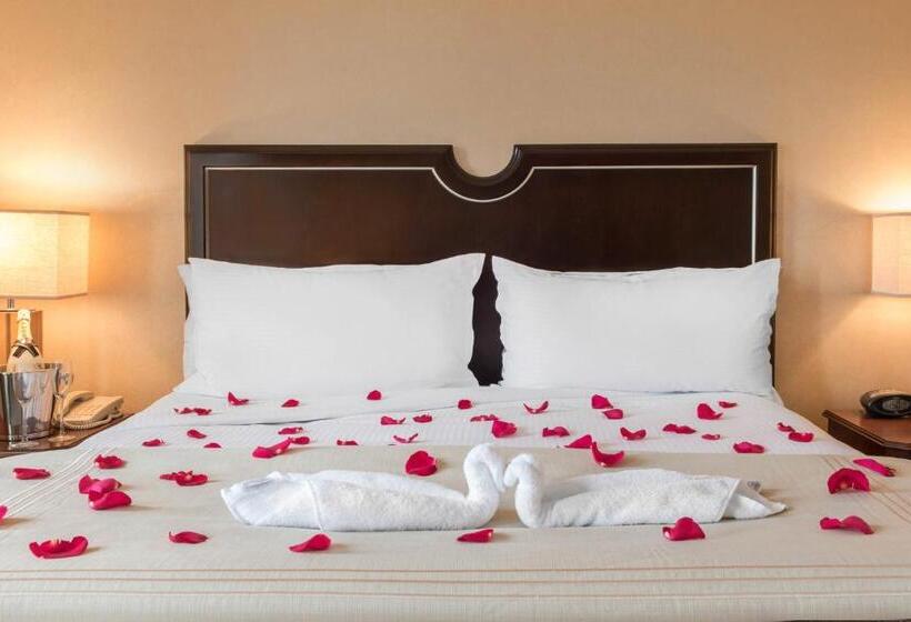 Executive Kamer met Kingsize Bed, Omni Severin