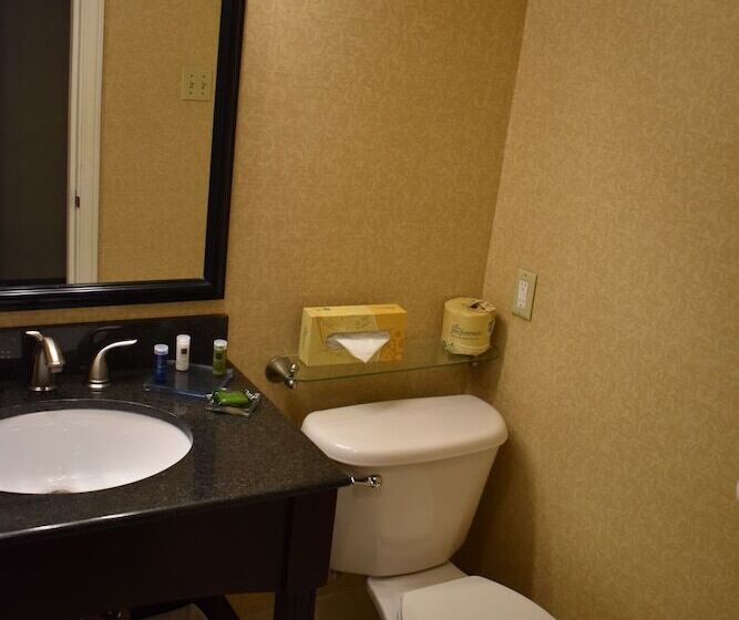 Номер Стандарт 2 Двуспальные Кровати, Penn Harris Hotel Harrisburg, Trademark By Wyndham