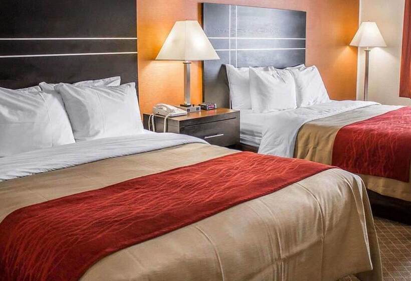 Номер Стандарт 2 Двуспальные Кровати, Norwood Inn & Suites North Conference Center