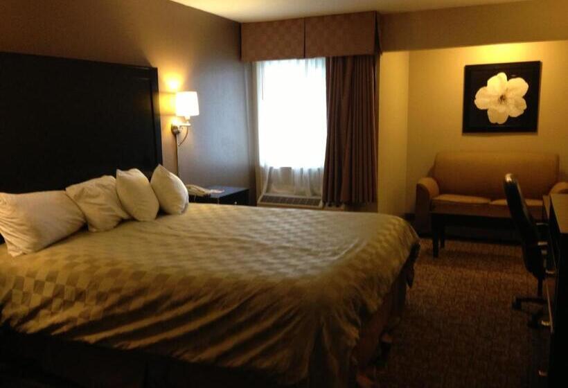 장애인을 위한 킹사이즈 침대 스탠다드 룸, Ramada By Wyndham Fresno North