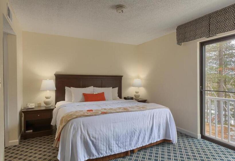 Студия Deluxe, Residences At Daniel Webster