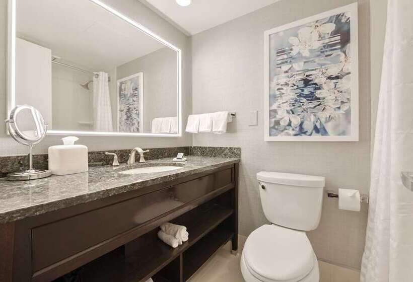 Стандартный Номер Кровать Кинг, Hilton Stamford Hotel & Executive Meeting Center