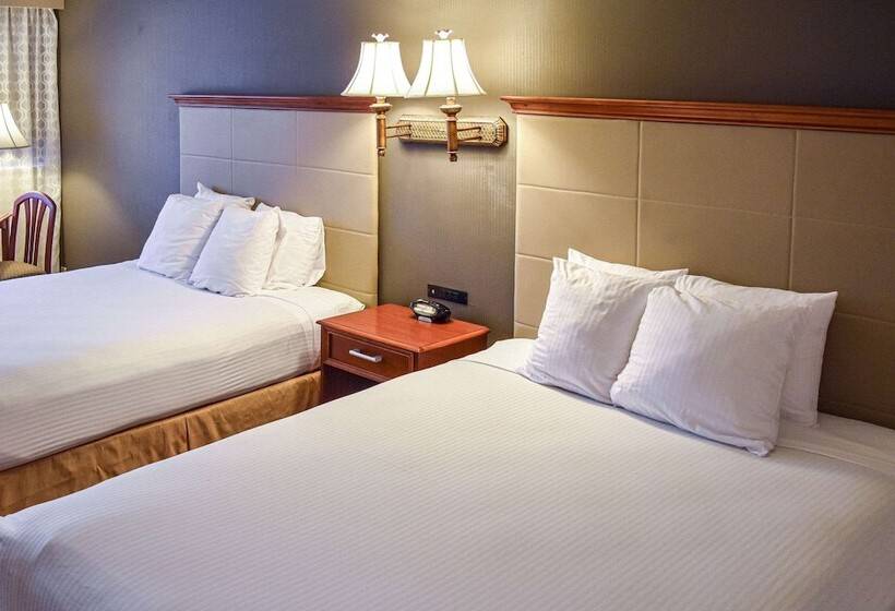 带2个双人床的标准工作室, Comfort Inn & Suites Downtown Tacoma