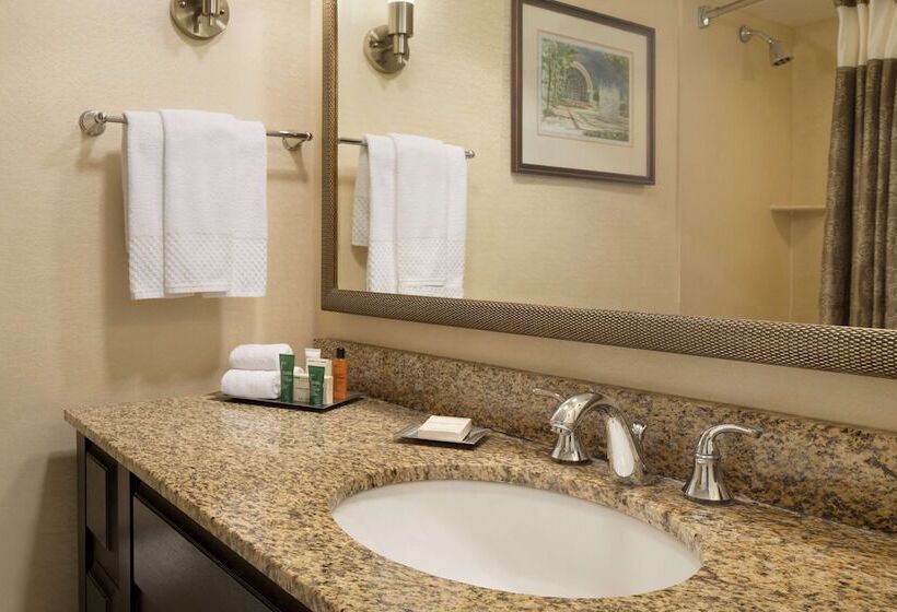 디럭스 룸, Hilton St. Louis Frontenac