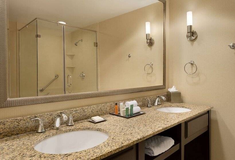 디럭스 룸, Hilton St. Louis Frontenac