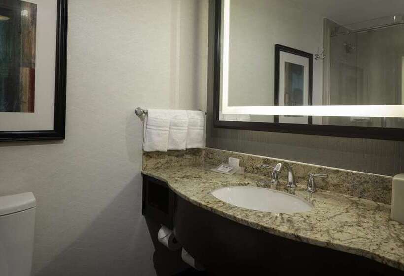 스탠다드 룸 킹사이즈 침대, Hilton St. Louis Frontenac