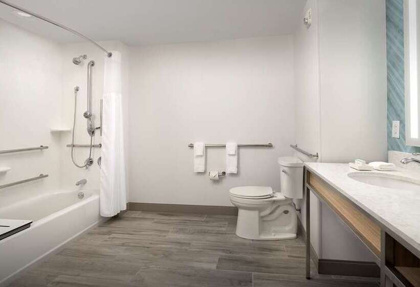 스탠다드 룸 킹사이즈 침대, Hilton St. Louis Frontenac