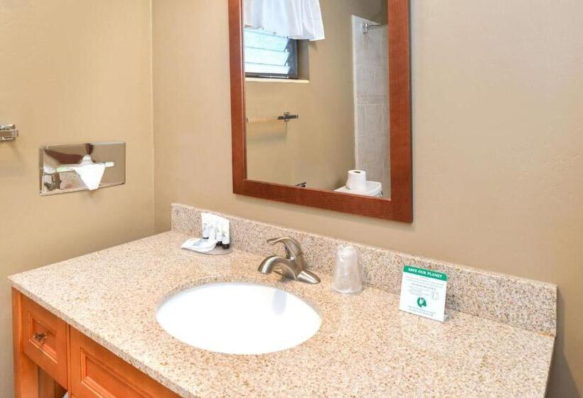 Стандартный Номер Кровать Кинг, Svendsgaard S Lodge  Americas Best Value Inn & Suites
