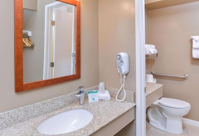 Номер Стандарт 2 Двуспальные Кровати, Svendsgaard S Lodge  Americas Best Value Inn & Suites