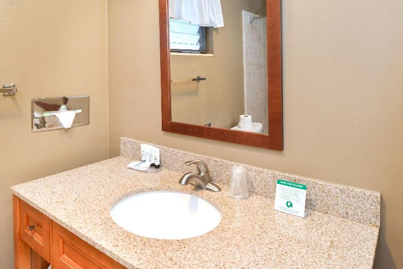 Стандартный Номер Кровать Кинг, Svendsgaard S Lodge  Americas Best Value Inn & Suites