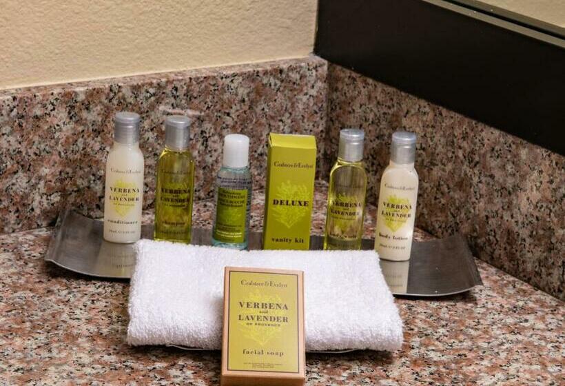اتاق استاندارد برای معلولان, Doubletree By Hilton Hotel Orlando At Seaworld