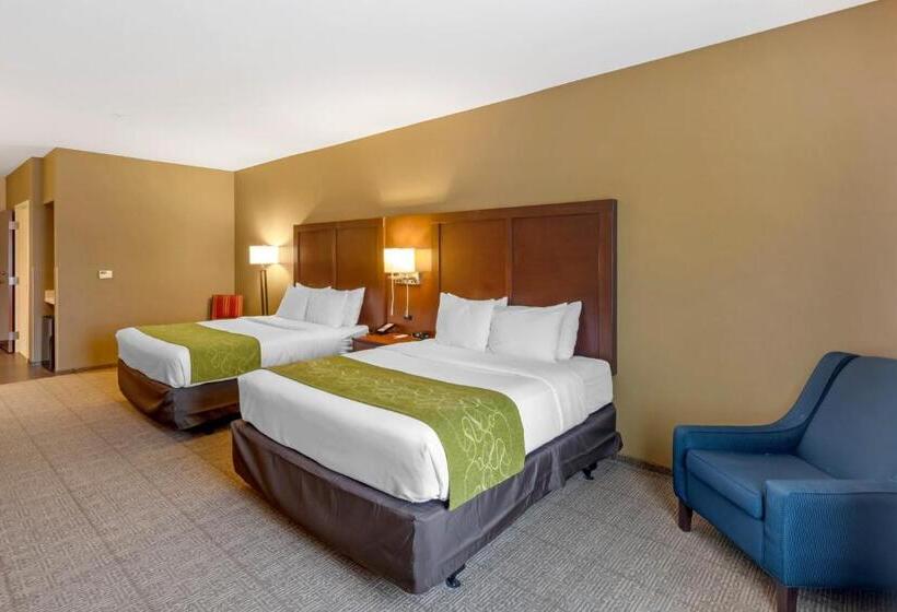 身障者適用スイートルーム, Comfort Suites St George  University Area
