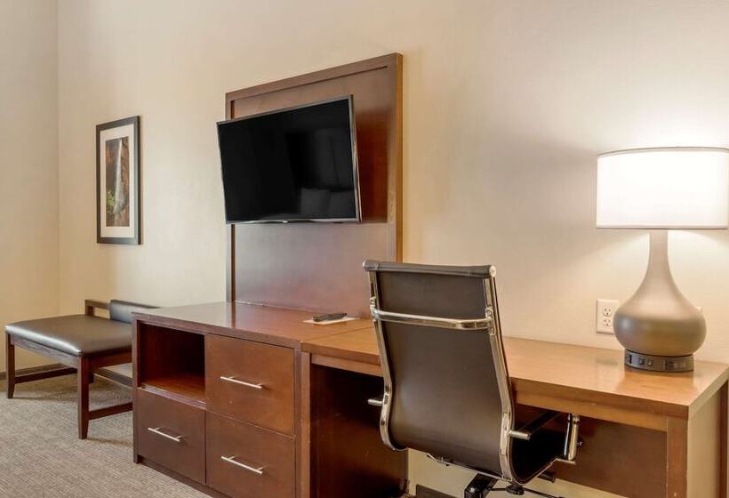 身障者適用スイートルーム, Comfort Suites St George  University Area