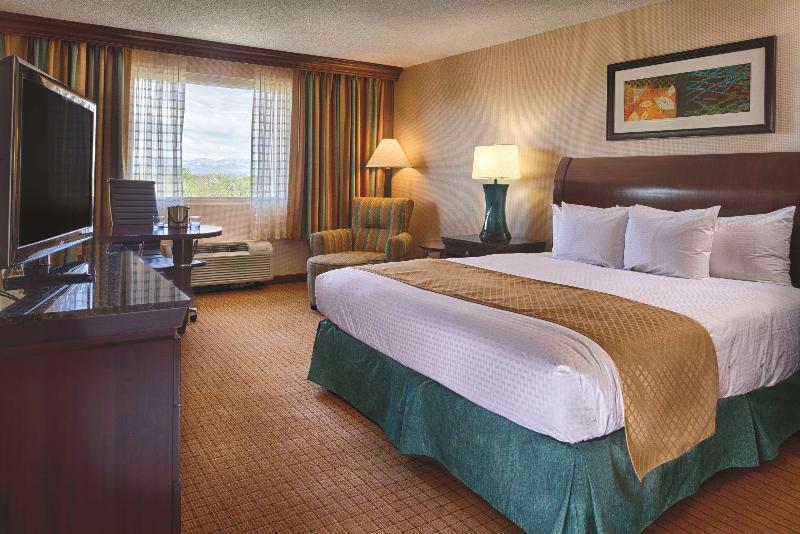 キングサイズベッドのスタンダードルーム, Doubletree By Hilton Hotel Denver
