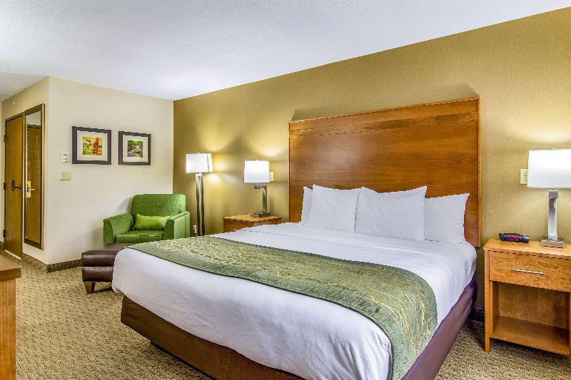 キングサイズベッドのスタンダードルーム, Doubletree By Hilton Hotel Denver