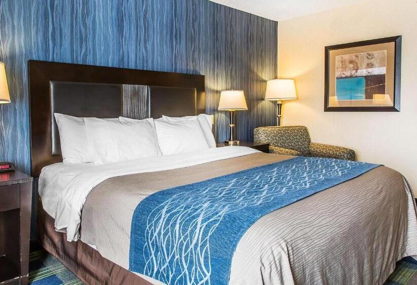 스탠다드 룸 킹사이즈 침대, Comfort Inn & Suites