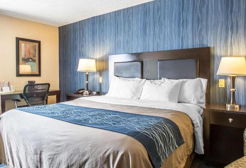 스탠다드 룸 킹사이즈 침대, Comfort Inn & Suites