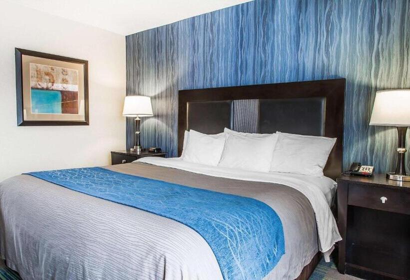 비즈니스룸, Comfort Inn & Suites