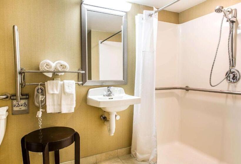 장애인을 위한 킹사이즈 침대 스탠다드 룸, Comfort Inn & Suites