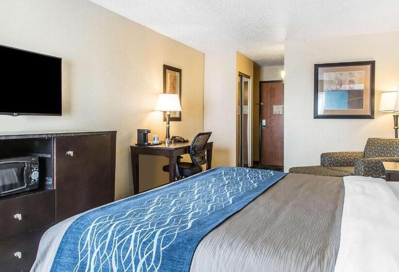 장애인을 위한 킹사이즈 침대 스탠다드 룸, Comfort Inn & Suites