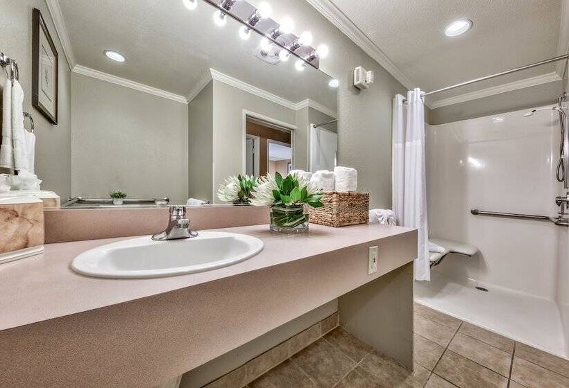 Люкс Deluxe 2 Спальни, Forest Suites Resort At The Heavenly Village