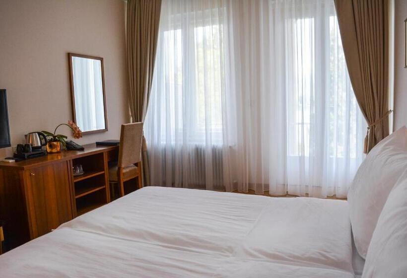 اتاق استاندارد با چشم‌انداز دریاچه, Vila Bled