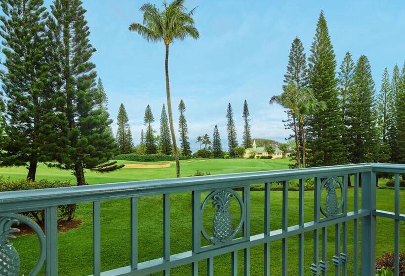Номер Deluxe Вид на Море, The Ritz Carlton Maui, Kapalua
