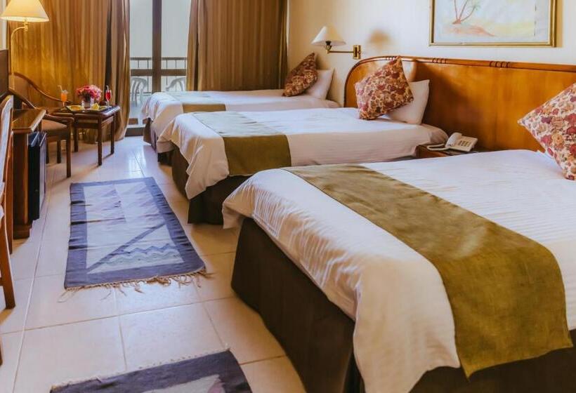 اتاق اکونومی, Basma Hotel Aswan