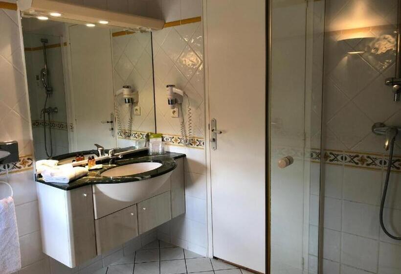 Номер Стандарт Вид на Бассейн, Hôtel Jas Neuf