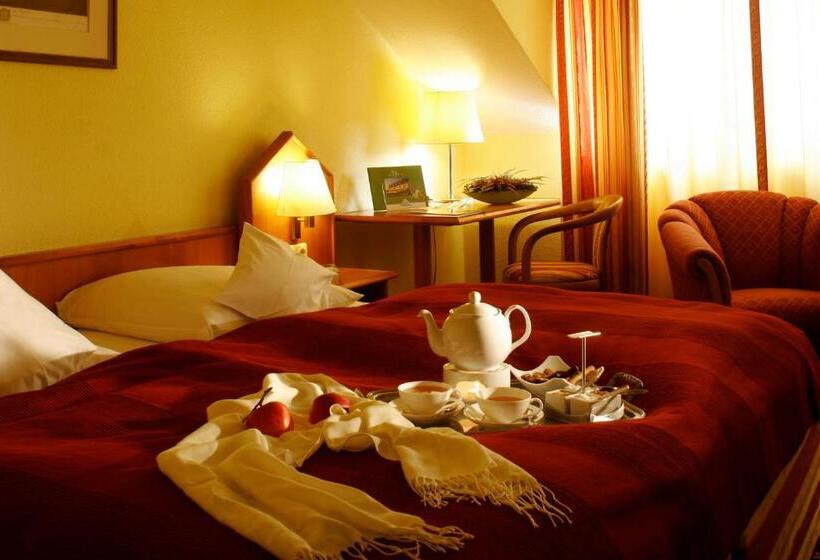 스탠다드 룸, Ringhotel Hotel Zum Stein