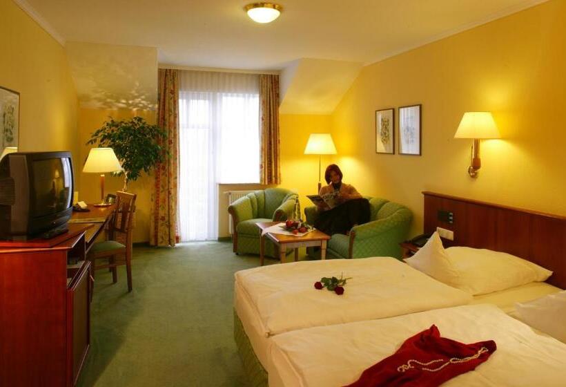 컴포트 싱글 룸, Ringhotel Hotel Zum Stein