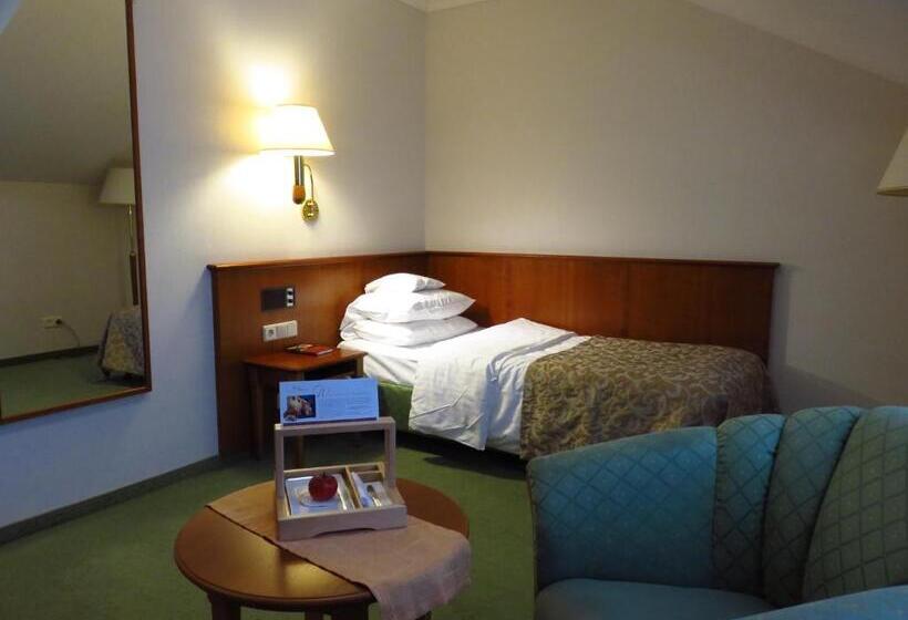 컴포트 싱글 룸, Ringhotel Hotel Zum Stein