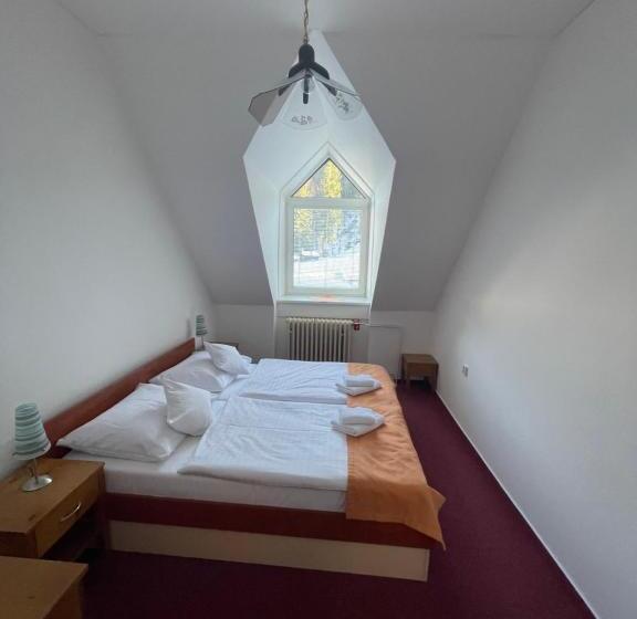 带2个卧室的公寓, Skicentrum