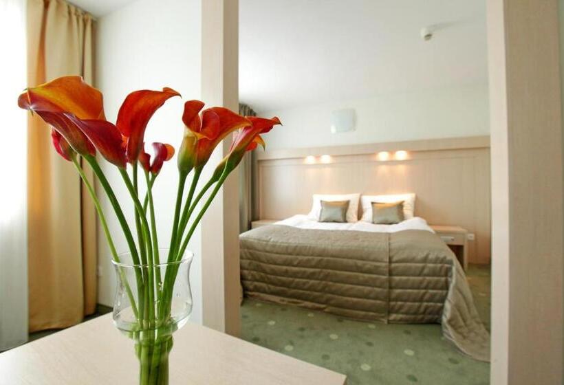 Номер Стандарт, Cieplice Medi & Spa