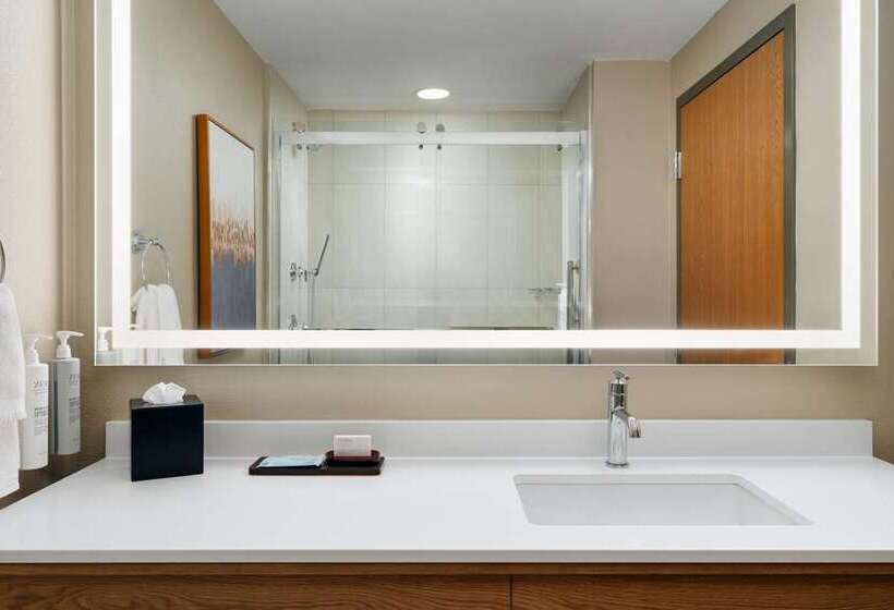 스위트 킹사이즈 침대, Embassy Suites Hotel Des Moines Downtown