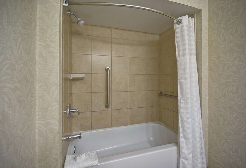جناح, Embassy Suites By Hilton Charleston Historic District